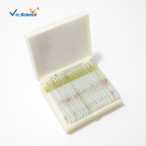 สไลด์เนื้อเยื่อเกี่ยวพันปอด25<span class=keywords><strong>รายการ</strong></span>วัสดุบริสุทธิ์ PE โฟมในกล่องเนื้อเยื่อวิทยามนุษย์สไลด์กล้องจุลทรรศน์ภาพนิ่ง - Product Image 6