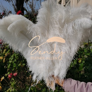 Plumas de Avestruz Naturales Blancas Grandes de 75-80cm, Plumas de Avestruz al por Mayor para Centros de Mesa de Bodas y Carnavales - Product Image 4