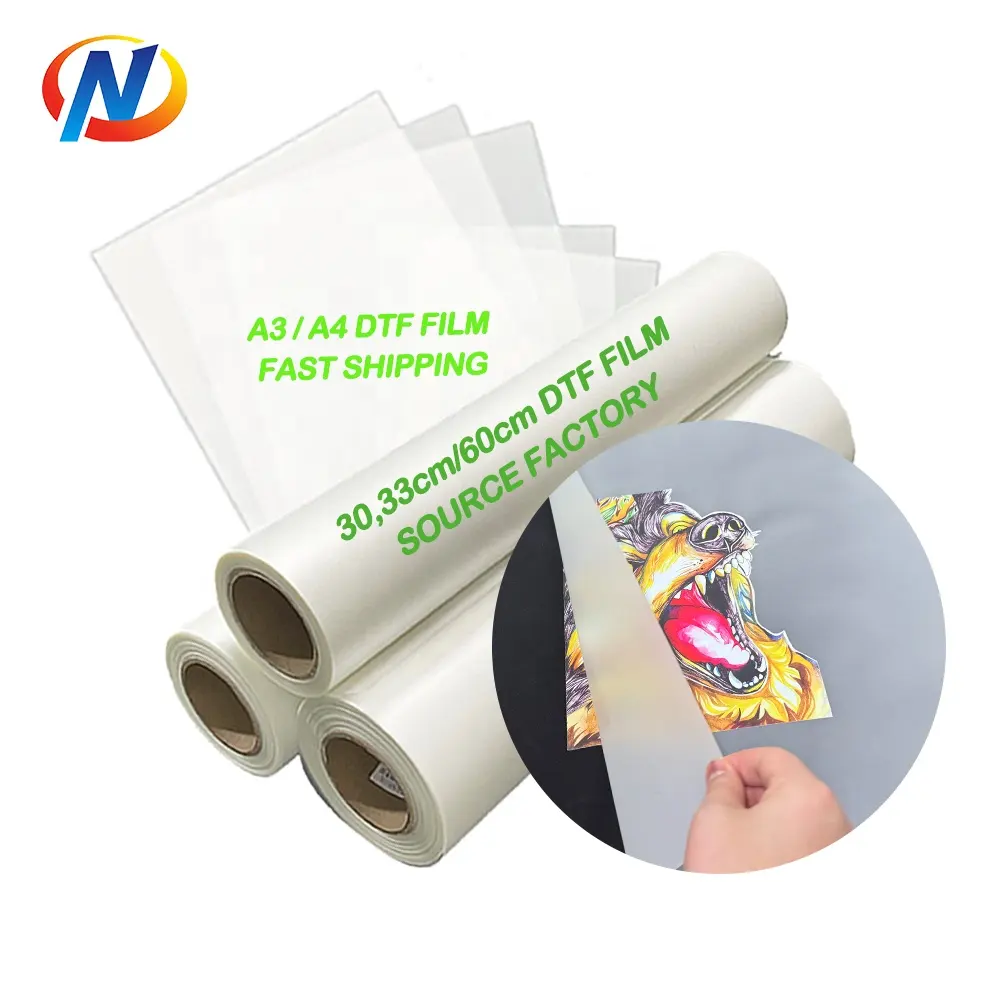 Norman Roll-To-Roll-Etiketten-Hitzeübertragungsdruckmaschine Digitaler Druck Papier direkt auf Folie Pet-Übertragungspapier Dtf-Film