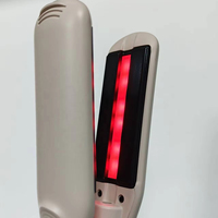 Lisseur à vapeur professionnel pour salon, en aluminium, électrique, chauffe rapide, portable, protection contre la surchauffe, personnalisable pour usage domestique