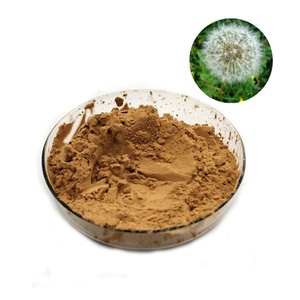 Tốt nhất bán tự nhiên hữu cơ chứng nhận bồ công anh bột bồ công anh flavone chiết xuất bồ công anh chiết xuất từ rễ bột - Product Image 1