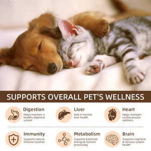 OEM/ODM для кошек и собак, усилитель пищеварения и иммунитета с порошком добавок шиитаке и <span class=keywords><strong>Ganoderma</strong></span> Lucidum - Product Image 4