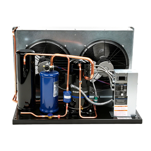 Nouvelle unité de condensation basse température à haute efficacité avec compresseur Copeland Scroll ZSI15KQE <span class=keywords><strong>R404A</strong></span>, capacité 14,4, pour chambre froide CE - Product Image 4