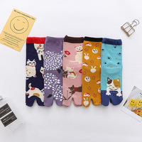 Chaussettes Tabi à Deux Orteils Séparés en Gros pour Femmes, Chaussettes en Coton de Type Crew, Nouveauté Amusante et Joyeuse pour Filles