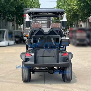 Voiturette de golf électrique noire en acier à deux places, modèle spécial pour le transport et les visites touristiques, avec dépôt requis - Product Image 6