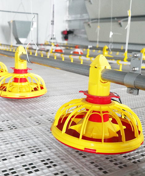 PP Material Automatic Poultry Feeder For Broiler CE Certification