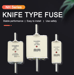 Serie NH, alta capacidad de ruptura, bajo voltaje, Cartucho HRC, borde de cuchillo, fusible térmico de cerámica, recorte - Product Image 6