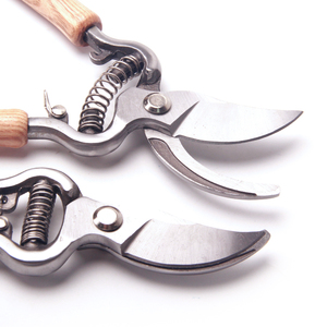 Ciseaux professionnels à double usage <span class=keywords><strong>pour</strong></span> la greffe et l'élagage des semis, avec manche en bois - Product Image 6