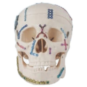 Implantes PRODUCTOS QUIRÚRGICOS Sector de la Salud Hospital Privado Hospital Público Cadena de Farmacias Corporativas - Product Image 3