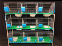 Nouvelle cage d'élevage de lapins en acier galvanisé, ensemble complet 9 ou 12 cellules, 4 niveaux, avec contrôle précis de la température et système d'alimentation automatique