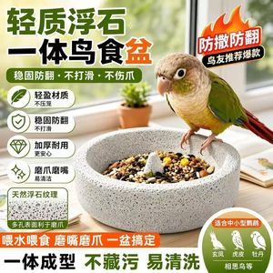Comedero de piedra pómez para loros, antideslizante, para moler el pico y las uñas, para periquitos, cacatúas y loros pequeños - Product Image 2