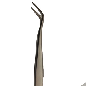 Pince à épiler professionnelle en acier inoxydable Meriam, instrument chirurgical dentaire pour usage clinique et en laboratoire - Product Image 6