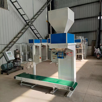 Machine de remplissage de poudre de détergent 25-50kg Machine d'emballage d'ensachage de poudre de lavage de détergent Production d'emballage de rendement énergétique