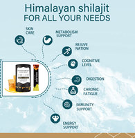 Bâtonnets de miel de Shilajit de l'Himalaya les plus vendus – Compléments alimentaires de haute qualité pour adultes