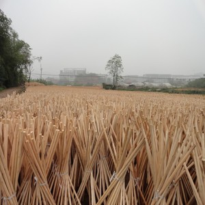 Wholesale China <strong>Broom</strong> Sticks Modern Industrial <strong>Broom</strong> Stick Lightweight &amp; Durable <strong>Wooden</strong> <strong>Broom</strong> <strong>Handle</strong> for Home Floor Cleaning - Product Image 6