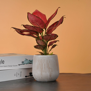 Fleid Contemporary Floor Vase-Lightweight Durable Polyethylene Eco-Friendly Reusable Fade Resistant Unbreakable Wide Mouth - Product Image 4