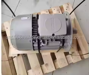 มอเตอร์ไฟฟ้ากระแสสลับแบบอะซิงโครนัส 1LE1003-1DA23-4AA4-Z 11 กิโลวัตต์ 2 โพล - Product Image 3