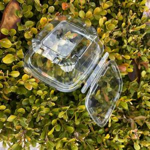 12oz tùy chỉnh hình chữ nhật Pet rõ ràng Hộp nhựa làm xáo trộn rõ ràng thực phẩm Trái Cây container với nắp có bản lề - Product Image 4