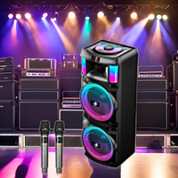Double système DJ PA 12 pouces son 1000W audio portable tweeter de fête avec microphone, adapté à la fonction karaoké à domicile