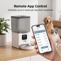 Distributeur automatique d'eau et de nourriture pour animaux de compagnie 6L en acier inoxydable 304 avec enregistrement vocal, vente directe usine