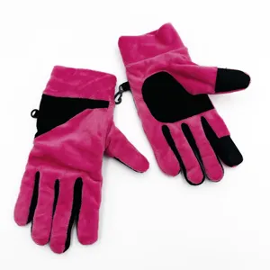 Manufacturer Supplier Ladies Fashion Winter Gloves With Polar Fleece