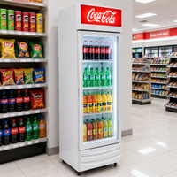 Vitrine Réfrigérée Commerciale Verticale à Refroidissement par Air pour Boissons, Présentoir Réfrigéré avec Porte Vitrée pour Entreposage et Supermarchés