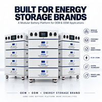 Batterie LiFePO4 empilable 10 kWh, 51,2 V, 212 Ah, batterie modulaire de stockage d'énergie domestique, OEM ODM, batterie solaire
