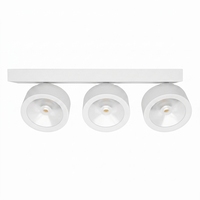 Spot de surface RONSE à 3 têtes 20W, Plafonnier LED encastré 30W, Downlight LED COB à angle réglable