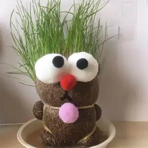 Mini poupée à tête d'herbe magique bricolage poupée en pot avec des cheveux d'herbe