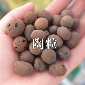 Boules de lèchère expansée légères pour hydroponie, aquaponie, jardinage et support de culture végétale - Product Image 4