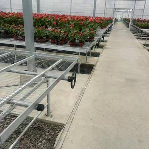 Hochwertige Kleine Stahlgitter-Rollbank Wachstumstisch Blumentische für Landwirtschaft und Gewächshaus <span class=keywords><strong>GREENTIME</strong></span> - Product Image 4