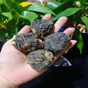 Vente en gros Tablette <span class=keywords><strong>de</strong></span> maca noire chinoise à base <span class=keywords><strong>de</strong></span> plantes saines Maca Plus Fesses/Hanches Maca Noire - Product Image 3