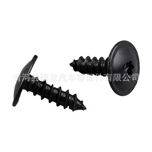 Slotted Pan Head Tapping Screws J207 Metric Right Hand For Plastic Automotive Door Panel <b>Fasteners</b> - Product Image 2