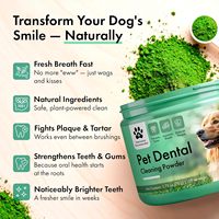 Poudre Nettoyante pour Dents de Chien et Chat OEM la Plus Vendue, à Base d'Algues Marines, Réduit la Plaque Dentaire et la Mauvaise Haleine, Soutient le Système Immunitaire, Vitamines et Minéraux