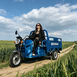 Triciclo Elettrico Passeggeri <span class=keywords><strong>a</strong></span> <span class=keywords><strong>Tre</strong></span> Ruote BEIHAI 2026 Economico Mini Scooter 60V 2000W per Adulti - Product Image 2