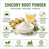 Poudre de racine de chicorée blanche de qualité alimentaire, riche en inuline, probiotiques intestinaux naturels à base de plantes, aliment fonctionnel brut