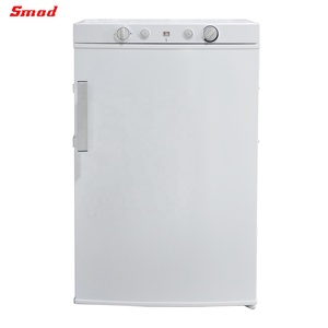 Refrigerador de 100 L para Gas y Queroseno con Personalización - Product Image 5