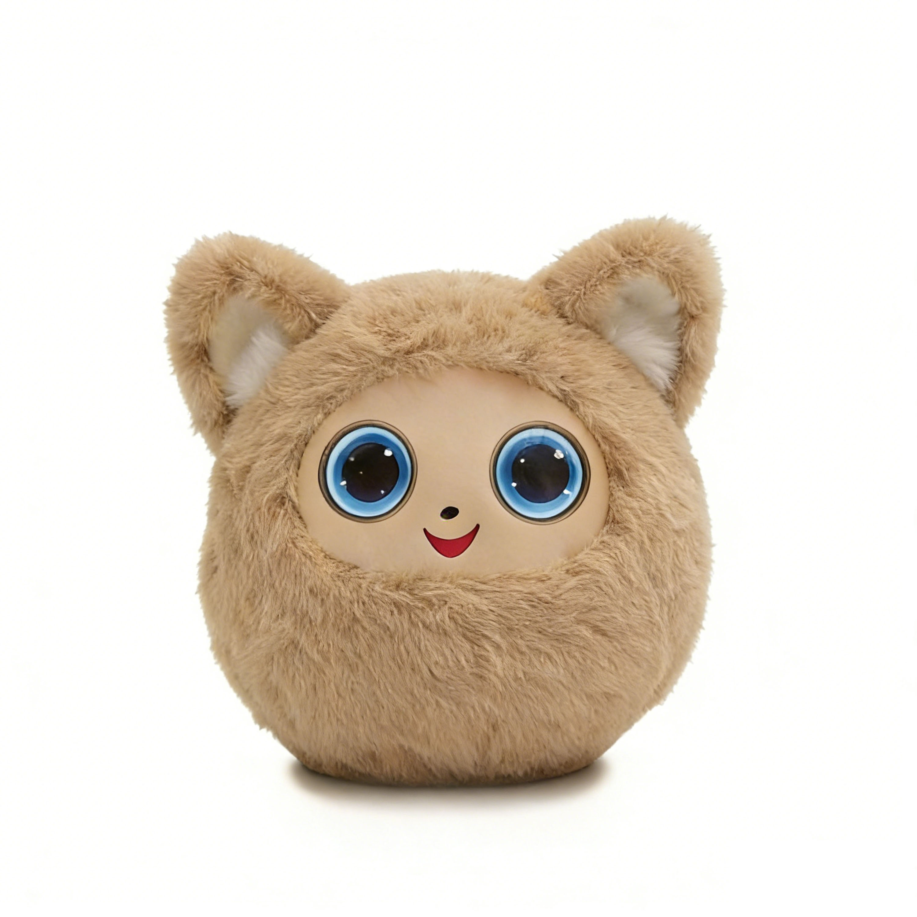 Caqui