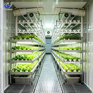 Mobiler Pflanzcontainer 40 Fuß Vertikaler Farming-Container Modulares Design Hydroponisches Anbausystem - Product Image 2