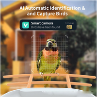 Mangeoire intelligente pour oiseaux avec identification des oiseaux, dispositif d'alimentation automatique pour l'observation des oiseaux dans le jardin, faune