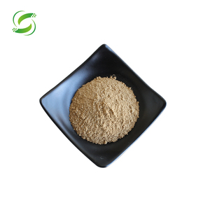 100% tự nhiên độ tinh khiết cao sư tử bờm nấm chiết xuất bột hericium erinaceus chiết xuất bột - Product Image 2