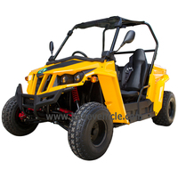 Buggy en paille à essence avec châssis 2 sièges, 2 places, deux places, latérale à côté, bon marché, vente en gros