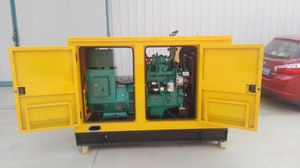 Customizable Silent 50kw 62.5kva Power 100% Copper Alternator Soundproof <b>Generator</b> for Industrial Emergency Power - Product Image 2