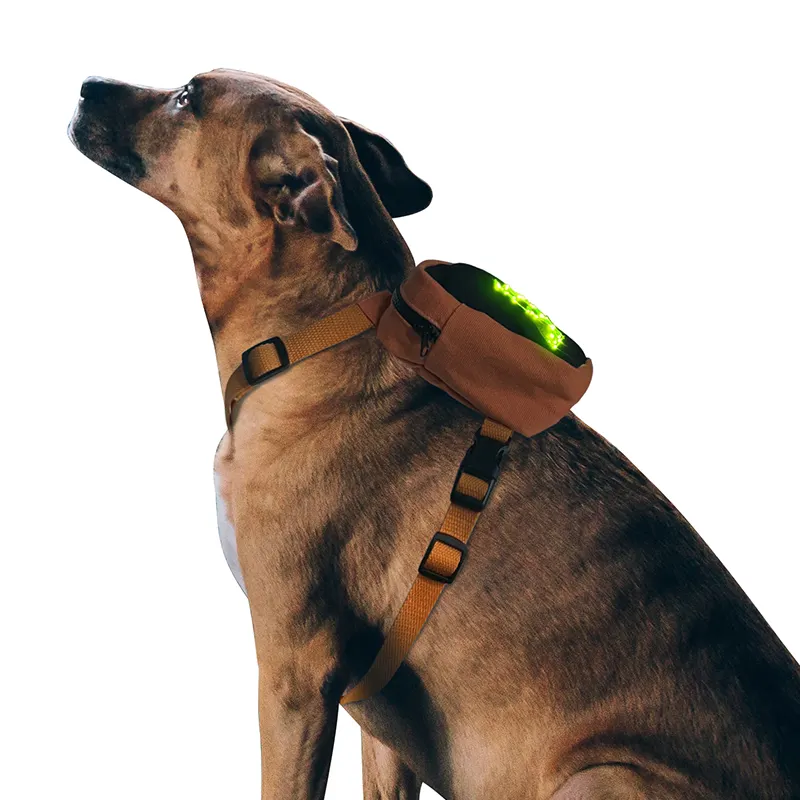 Ba Lô Chó Phát Sáng Có Đèn LED Sạc USB Có Logo Đèn Dây Dắt Chó Đi Dạo Vào Ban Đêm