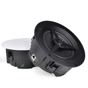 ลำโพงไร้สาย WiFi 5G บลูทูธ 5.4 ติดผนัง/ฝ้าเพดาน พร้อมเครื่องขยายเสียงในตัว อุปกรณ์เสริมระบบเสียงบ้านแบบหลายห้อง CS-2 ดูอัลแบนด์ - Product Image 6