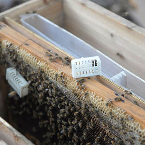 Ruche automatique pour abeilles, <span class=keywords><strong>Cage</strong></span> reine pour apiculture, matière plastique blanche - Product Image 6