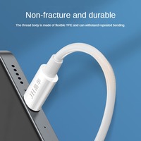 Lector de Tarjetas de Cámara SD a Tipo-C en Oferta, Unidad OTG sin Conexión, Plug-and-Play, Carcasa de ABS para Teléfono Móvil, Portátil, Tableta y Computadora