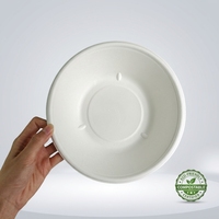 Assiettes et bols ronds jetables en bagasse pour le déjeuner, les fêtes, boîtes à lunch écologiques