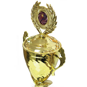 व्यापार के लिए थोक कस्टम धातु ट्रॉफी सेट जस्ता मिश्र धातु इलेक्ट्रोप्लेटेड चैंपियन पुरस्कार- - Product Image 6