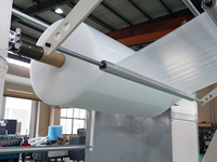 Pansatec Factory Best Selling Automatic Bubbles Wrap Maker Máquina extruida Diseño de un solo tornillo Core PLC para película de hoja de PE